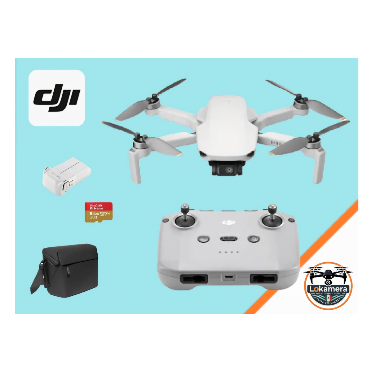 Catalog Image
